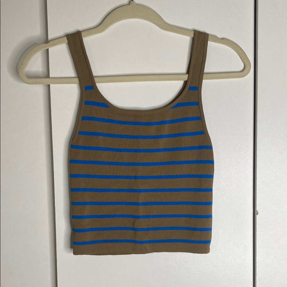 Zara Brown and Blue Striped Ribbed Crop Tank